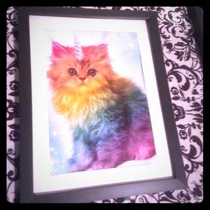 Catacorn unicat unicorn cat in frame